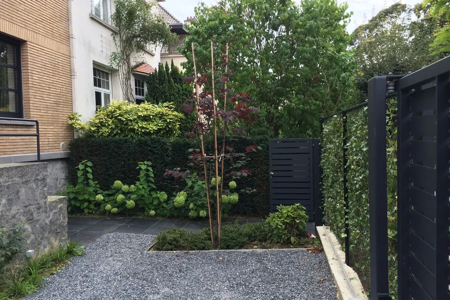 Tuin met grindpad, bloeiende hortensia's en een rode esdoorn langs een bakstenen woning